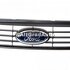 Grila radiator gri Ford focus mk2 1.8 tdci