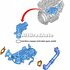Garnitura supapa recirculare gaze modul Ford tourneo courier 1.6 tdci