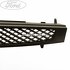 Grila radiator Ford fiesta 5  1.25 16v