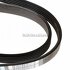Curea transmisie cu AC 1145 mm Ford fiesta 4 1.8 d