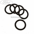 Garnitura galerie admisie 30 mm Ford fiesta 5  1.6 tdci