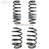 Set arcuri elicoidale suspensie sport Ford fiesta mk 8 1.4