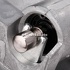 Amortizor vibratii curea distributie Ford galaxy mk1 1.9 tdi