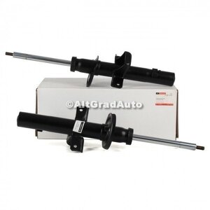 1 Pachet amortizoare spate Ford Motorcraft 4/5 usi Ford Mondeo (2000-2007) 2.0 TDCi 130 HP oe 2001215