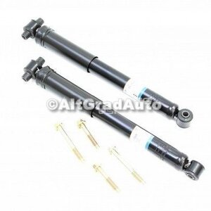 1 Pachet amortizoare spate Ford Motorcraft combi Ford Focus (1998-2004) 1.4 16V 75 HP oe 2006070