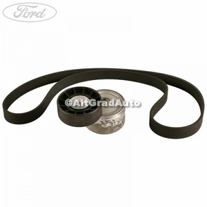 1 Pachet curea transmie cu intinzator Ford Focus (2004-2007) 2.0 TDCi 136 HP oe 2110256