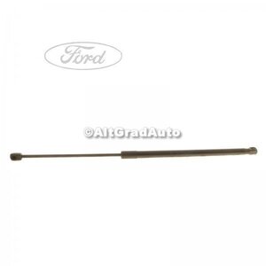 Amortizor hayon Ford Focus C-Max (2003-2007) 1.6 100 HP oe 1683725