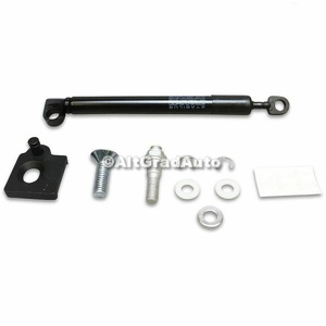 Amortizor hayon bena Ford Ranger (2012-2015) 2.2 TDCi 125 HP oe 2195512