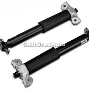 Amortizor spate standard cabriolet Ford Mustang (2015-2018) 5.0 V8 418 HP oe 1912903