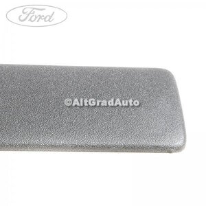 Bandou usa fata stanga/dreapta negru Ford Focus (2004-2007) 1.4 80 HP oe 1487857
