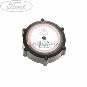 Buson vas expansiune Ford Transit (2000-2006) 2.0 DI 86 HP oe 1029727