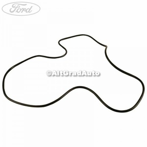 Cheder geam trapa Ford Focus (2004-2007) 1.4 80 HP oe 1496622