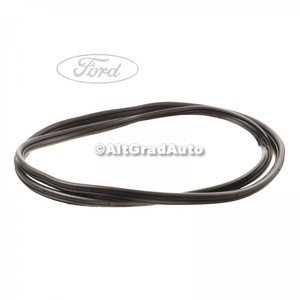 Cheder usa fata Ford ka 2 1.2