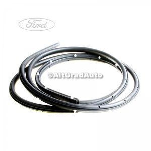 Cheder usa fata dreapta Ford Focus C-Max (2003-2007) 1.6 100 HP oe 1495610