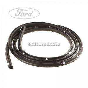 Cheder usa spate dreapta Ford C-Max (2007-2011) 1.8 125 HP oe 1494595