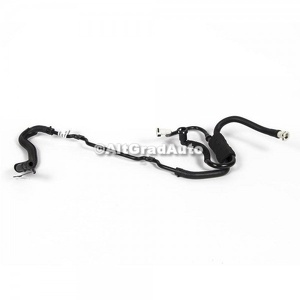 Conducta vacuum pompa servo-frana Ford Mustang (2018-2022) 5.0 V8 450 HP oe 2283649