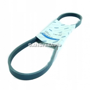 Curea transmisie 884 mm Ford Fiesta (1996-2001) 1.8 D 60 HP oe 1087286