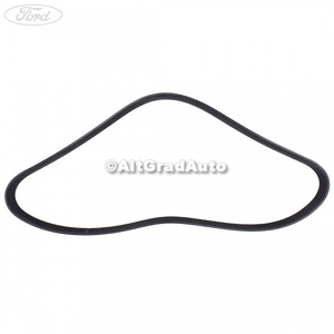 Curea transmisie Ford EcoSport (2019-2023) 1.5 TDCi EcoBlue 4x4 125 HP oe 2190430