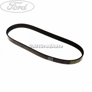 Curea transmisie fara AC Ford C-Max (2007-2011) 1.6 TDCi 101 HP oe 1539585