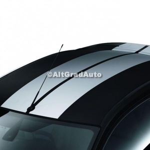 Dungi albe plafon Ford focus mk2 1.4