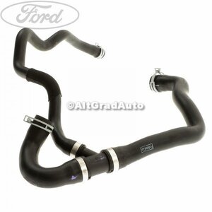 Furtun radiator apa inferior Ford focus 2 1.8 tdci