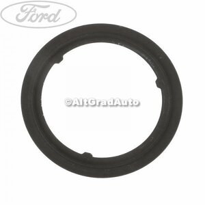 Garnitura, galerie evacuare rotunda Ford focus 2 1.8 tdci