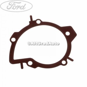 Garnitura, pompa apa an 01/2011-10/2014 Ford cmax mk2 2.0 tdci