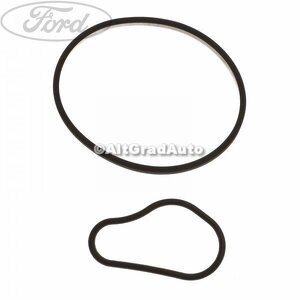 Garnitura, pompa vacuum Ford fiesta mk 6 1.6 tdci