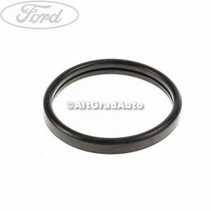 Garnitura, termostat 48 mm Ford focus 2 1.4