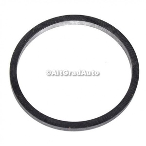 Garnitura adaptor filtru ulei Ford Fiesta (1996-2001) 1.8 D 60 HP oe 1078208