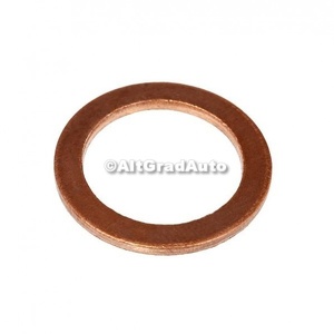 Garnitura buson baie ulei Ford Galaxy (1995-2000) 2.8 i V6 174 HP oe 1005306