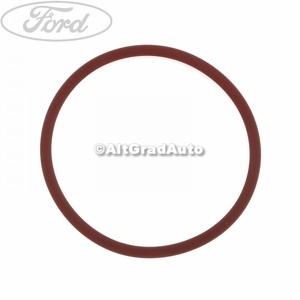 Garnitura buson umplere ulei Ford fiesta mk 9 1.5 ecoboost st