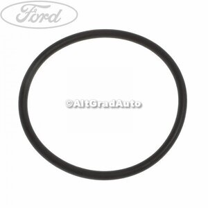 Garnitura corp clapeta acceleratie Ford fiesta 5  1.6 tdci