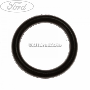 Garnitura galerie admisie 30 mm Ford Focus (2004-2007) 1.6 TDCi 109 HP oe 1254376