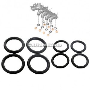 Garnitura galerie admisie set Ford Focus (2004-2007) 1.6 TDCi 109 HP oe 70-0136