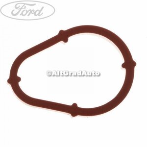 Garnitura o ring pompa vacuum mica Ford Fusion 1.4 TDCi 68 HP oe 1327237