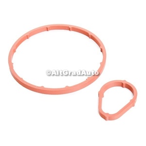 Garnitura o ring pompa vacuum set Ford fusion 1.4 tdci