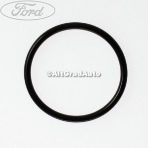 Garnitura o ring vas spalator parbriz Ford s max 2.0 tdci