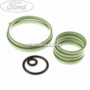 Garnitura oring galerie admisie Ford Ka (2009-2016) 1.2 69 HP oe 1580144