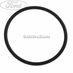 Garnitura oring negru pompa combustibil Ford tourneo connect 2 1.0 ecoboost