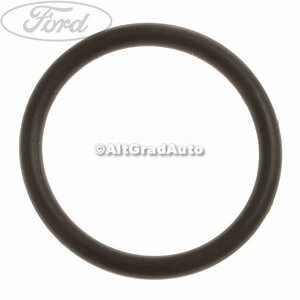 Garnitura oring pompa ulei Ford cougar 2.5 st 200