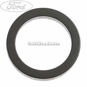 Garnitura oring pompa ulei pana in anul 12/2011 Ford focus 2 1.6 tdci