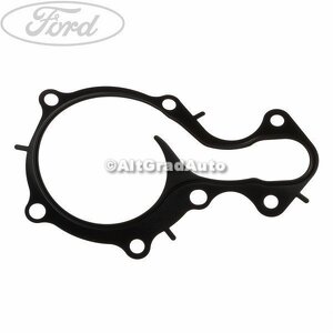 Garnitura pompa apa Ford B-Max 1.0 EcoBoost 140 HP oe 1760680