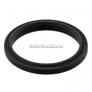 Garnitura pompa apa Ford Kuga (2019-2023) 1.5 EcoBlue 120 HP oe 2189470