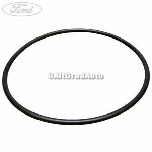 Garnitura pompa combustibil Ford Ranger (2012-2015) 2.2 TDCi 125 HP oe 1741011