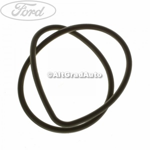 Garnitura pompa ulei Ford Fiesta (1989-1996) 1.8 D 60 HP oe 1019605