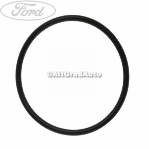 Garnitura pompa ulei Ford Focus (2011-2014) 2.0 TDCi 115 HP oe 1256671