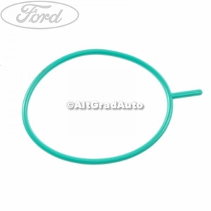 Garnitura pompa vacuum - oring Ford Fiesta (1989-1996) 1.8 D 60 HP oe 1710919