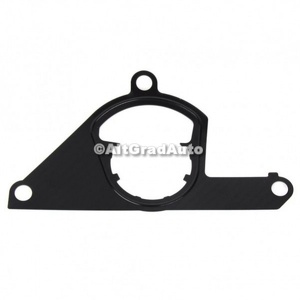 Garnitura pompa vacuum Ford Edge (2019-2022) 2.0 EcoBlue AWD 238 HP oe 2477194