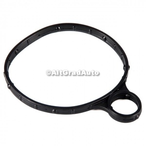 Garnitura pompa vacuum Ford S-Max (2007-2014) 2.0 EcoBoost 203 HP oe 5205980